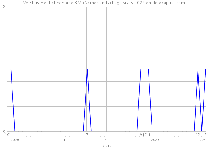 Versluis Meubelmontage B.V. (Netherlands) Page visits 2024 