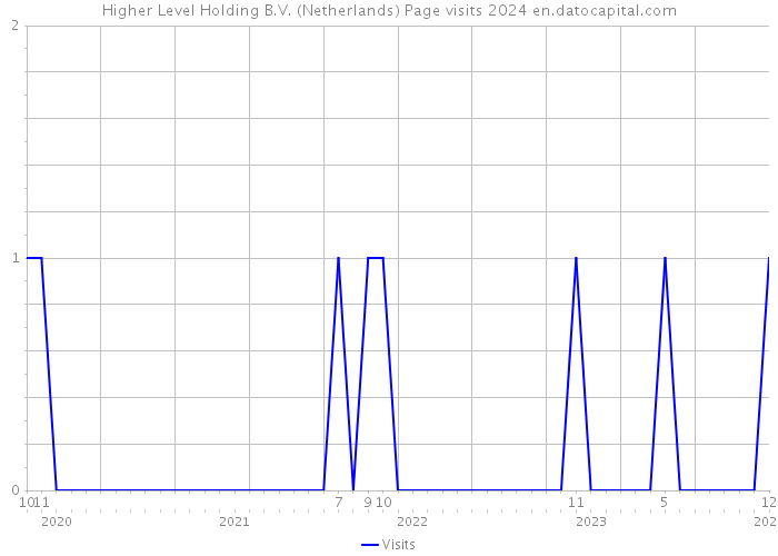 Higher Level Holding B.V. (Netherlands) Page visits 2024 
