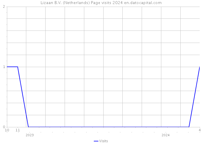 Lizaan B.V. (Netherlands) Page visits 2024 