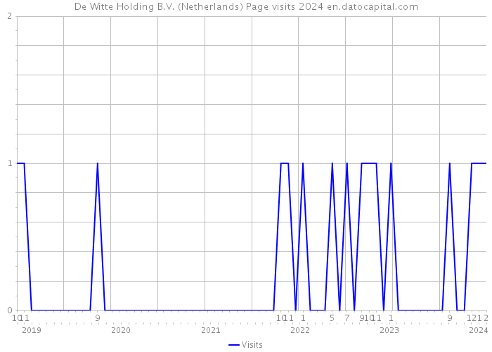 De Witte Holding B.V. (Netherlands) Page visits 2024 