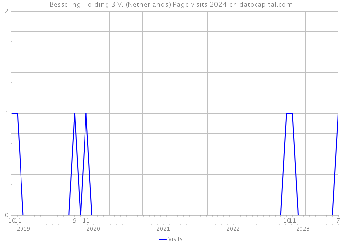 Besseling Holding B.V. (Netherlands) Page visits 2024 