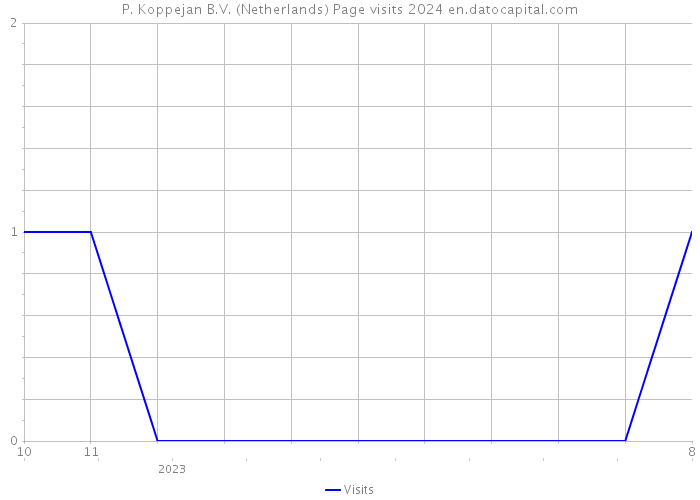 P. Koppejan B.V. (Netherlands) Page visits 2024 