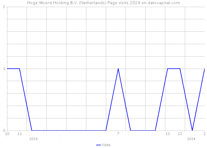 Hoge Woerd Holding B.V. (Netherlands) Page visits 2024 