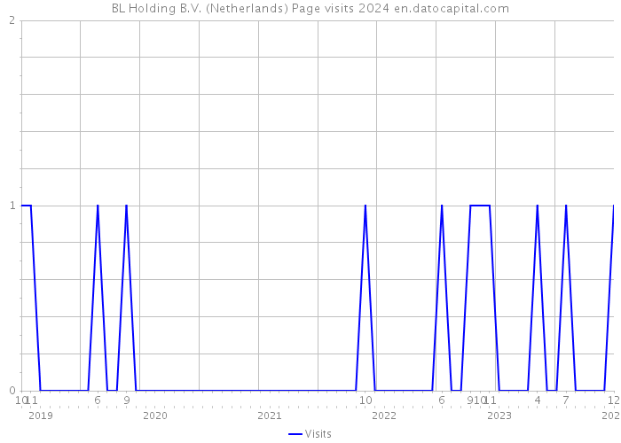 BL Holding B.V. (Netherlands) Page visits 2024 