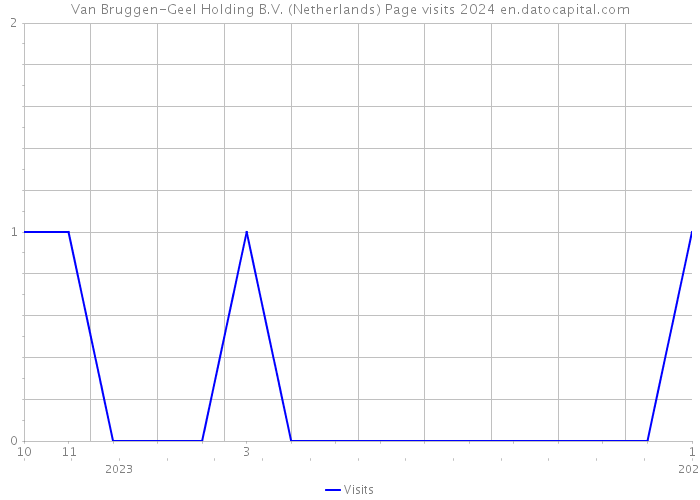 Van Bruggen-Geel Holding B.V. (Netherlands) Page visits 2024 