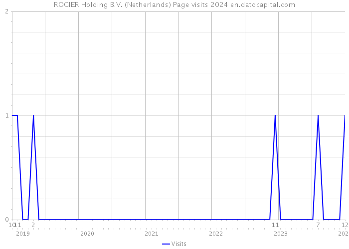 ROGIER Holding B.V. (Netherlands) Page visits 2024 