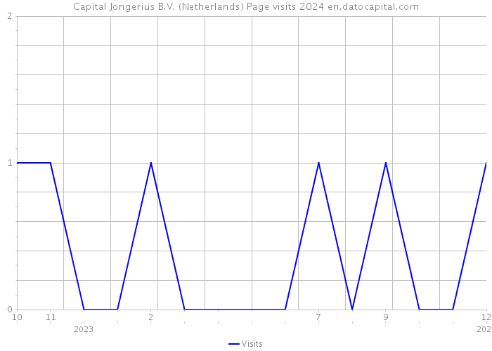 Capital Jongerius B.V. (Netherlands) Page visits 2024 
