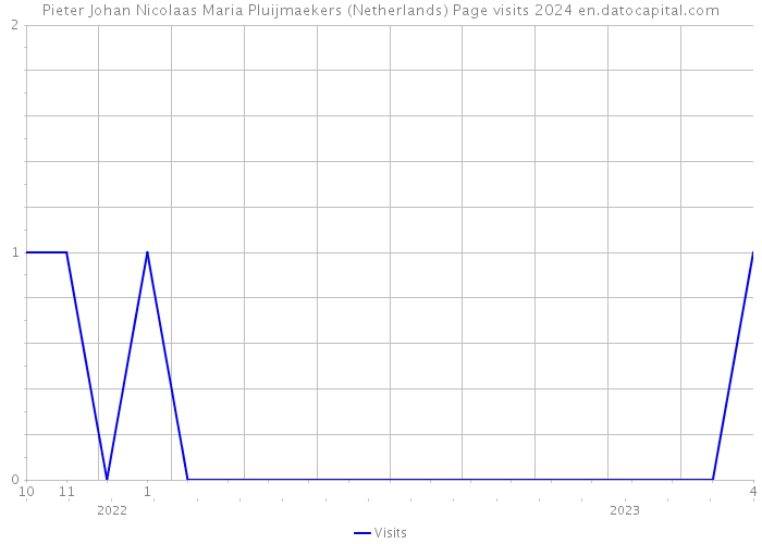 Pieter Johan Nicolaas Maria Pluijmaekers (Netherlands) Page visits 2024 