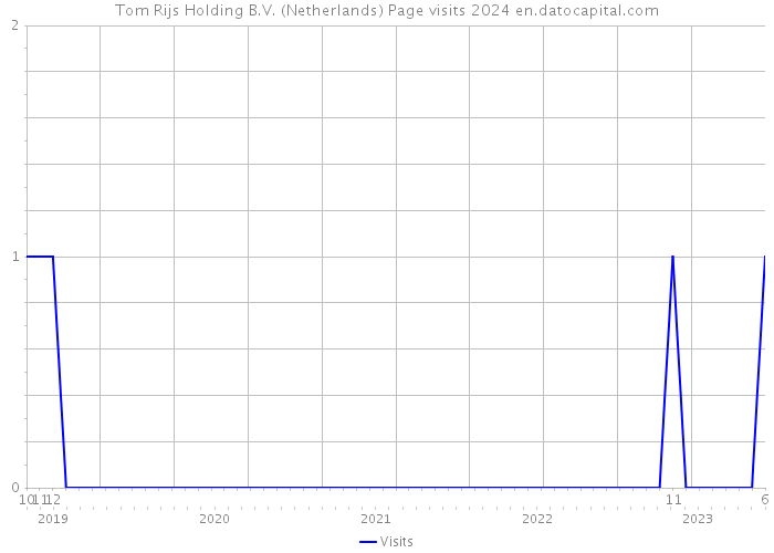 Tom Rijs Holding B.V. (Netherlands) Page visits 2024 