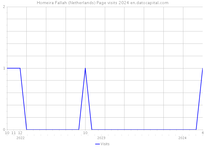 Homeira Fallah (Netherlands) Page visits 2024 