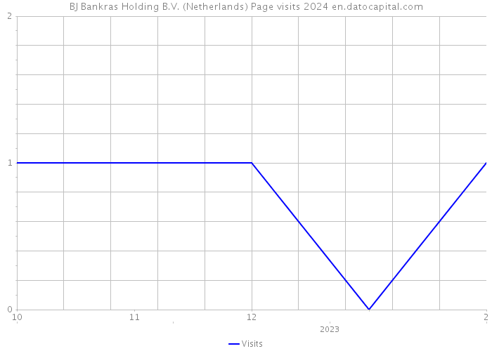 BJ Bankras Holding B.V. (Netherlands) Page visits 2024 