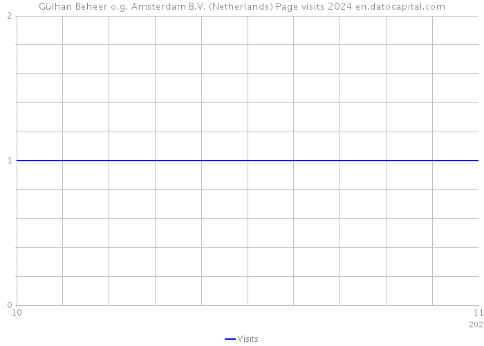 Gülhan Beheer o.g. Amsterdam B.V. (Netherlands) Page visits 2024 