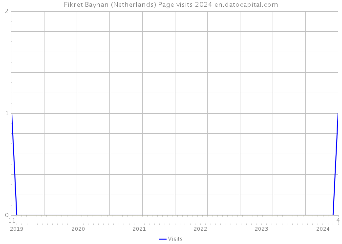 Fikret Bayhan (Netherlands) Page visits 2024 