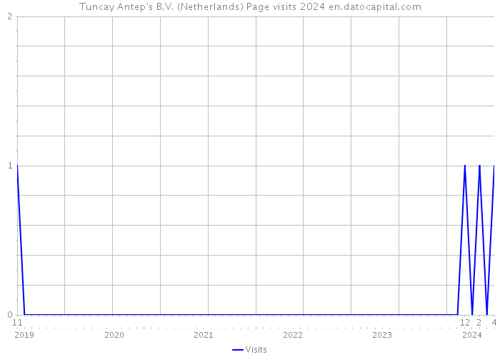 Tuncay Antep's B.V. (Netherlands) Page visits 2024 