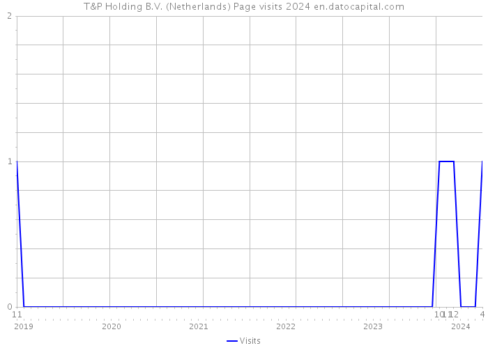T&P Holding B.V. (Netherlands) Page visits 2024 