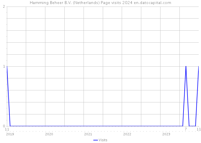 Hamming Beheer B.V. (Netherlands) Page visits 2024 