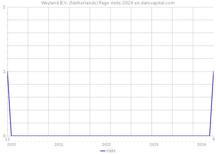 Weyland B.V. (Netherlands) Page visits 2024 