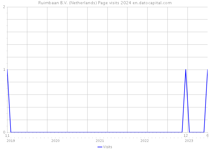 Ruimbaan B.V. (Netherlands) Page visits 2024 