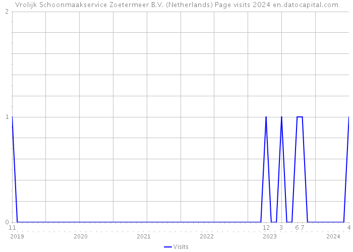 Vrolijk Schoonmaakservice Zoetermeer B.V. (Netherlands) Page visits 2024 