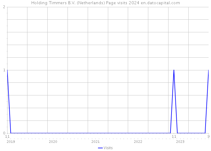 Holding Timmers B.V. (Netherlands) Page visits 2024 
