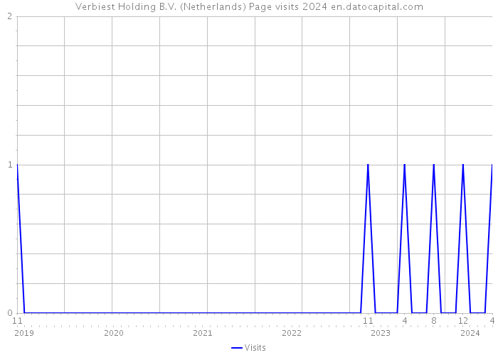 Verbiest Holding B.V. (Netherlands) Page visits 2024 