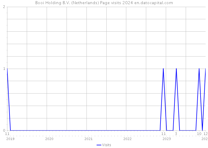 Booi Holding B.V. (Netherlands) Page visits 2024 