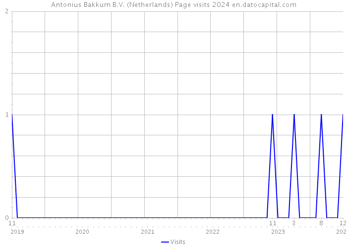 Antonius Bakkum B.V. (Netherlands) Page visits 2024 