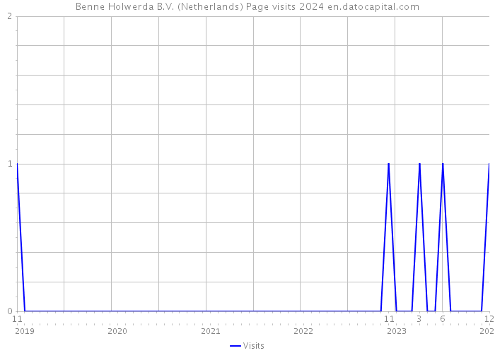 Benne Holwerda B.V. (Netherlands) Page visits 2024 