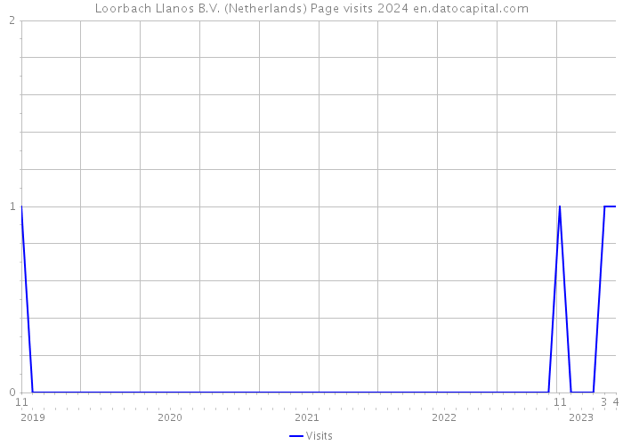 Loorbach Llanos B.V. (Netherlands) Page visits 2024 