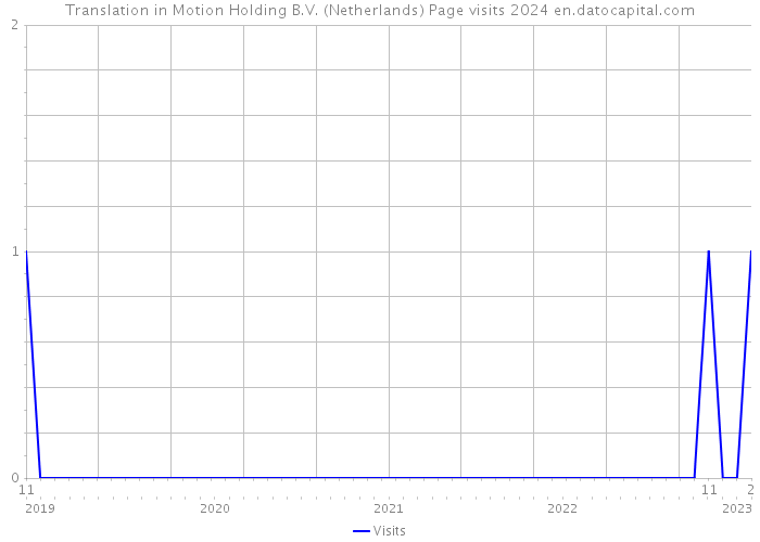 Translation in Motion Holding B.V. (Netherlands) Page visits 2024 