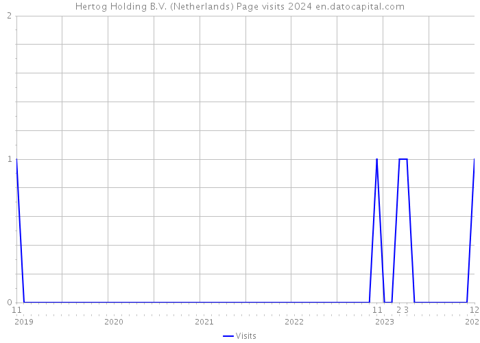 Hertog Holding B.V. (Netherlands) Page visits 2024 