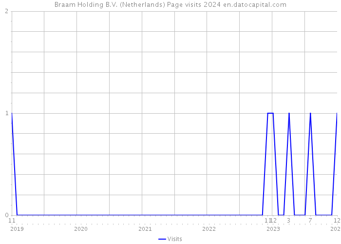 Braam Holding B.V. (Netherlands) Page visits 2024 