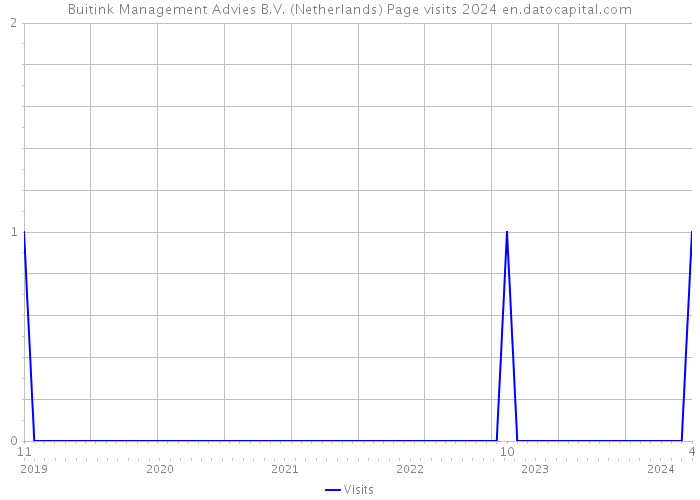 Buitink Management Advies B.V. (Netherlands) Page visits 2024 