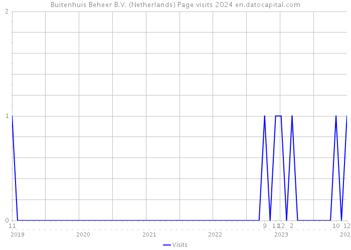 Buitenhuis Beheer B.V. (Netherlands) Page visits 2024 