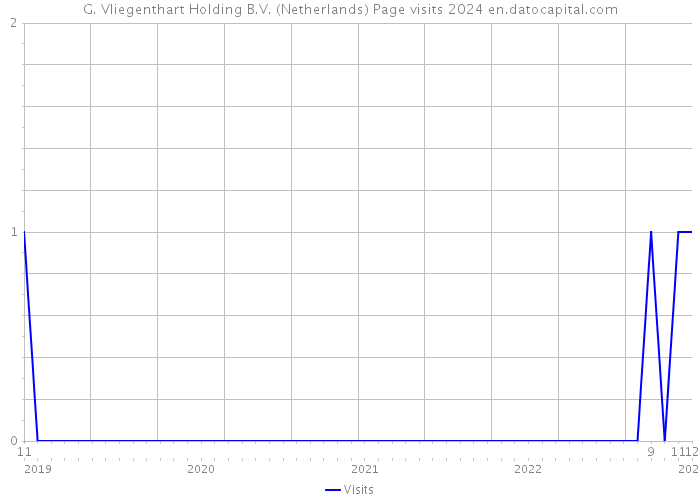 G. Vliegenthart Holding B.V. (Netherlands) Page visits 2024 