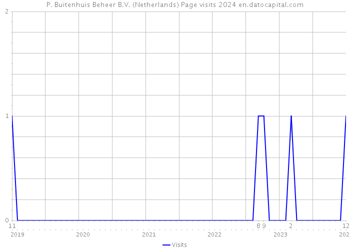 P. Buitenhuis Beheer B.V. (Netherlands) Page visits 2024 