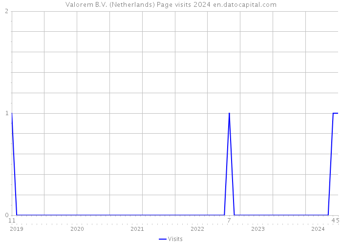 Valorem B.V. (Netherlands) Page visits 2024 