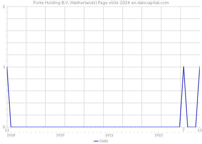 Forte Holding B.V. (Netherlands) Page visits 2024 