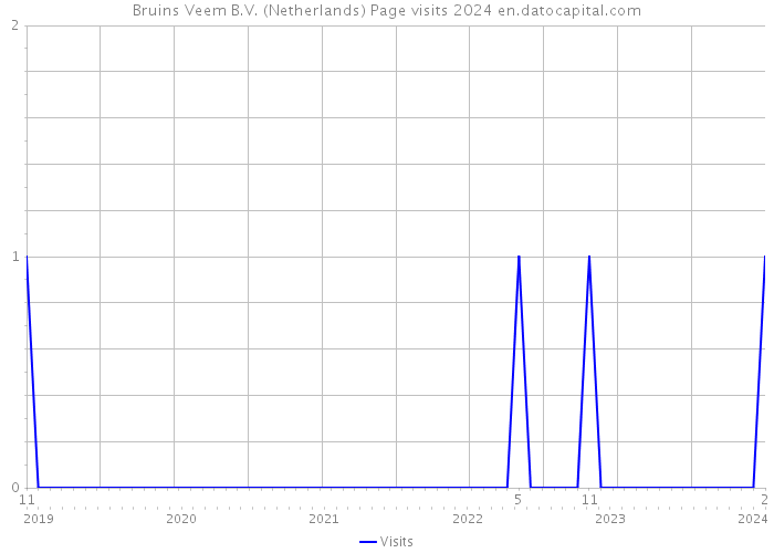 Bruins Veem B.V. (Netherlands) Page visits 2024 