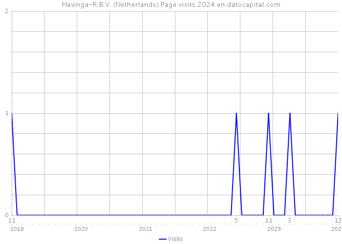 Havinga-R B.V. (Netherlands) Page visits 2024 
