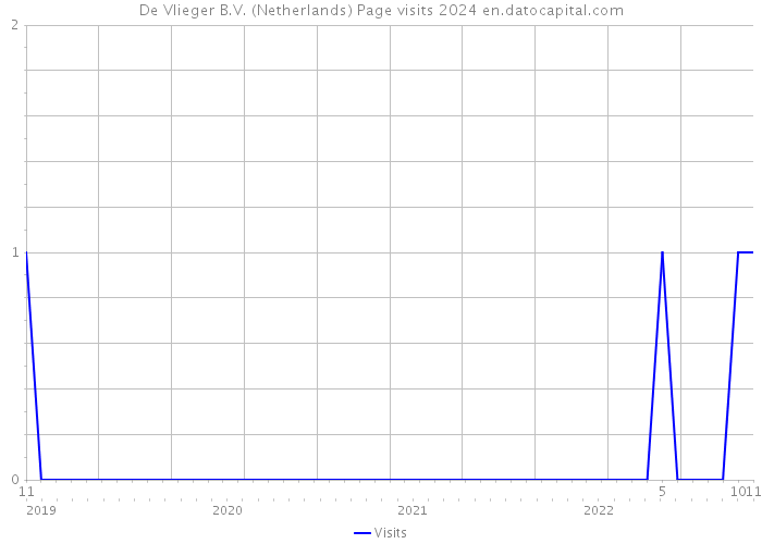 De Vlieger B.V. (Netherlands) Page visits 2024 