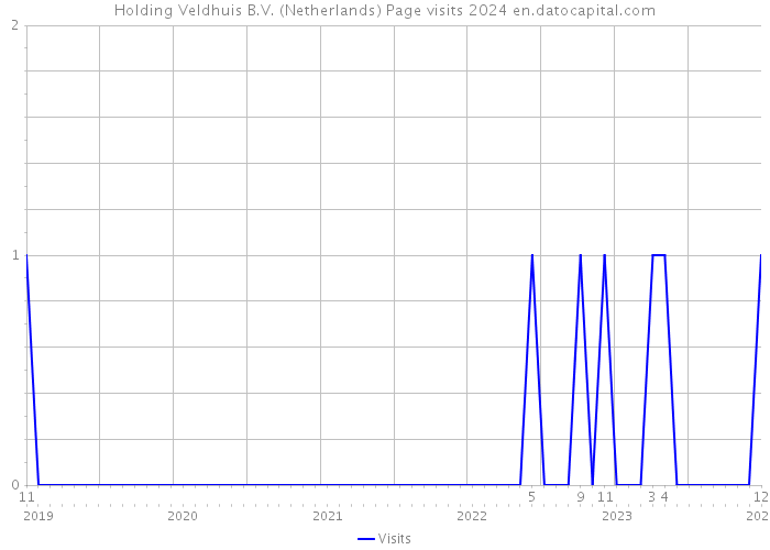 Holding Veldhuis B.V. (Netherlands) Page visits 2024 