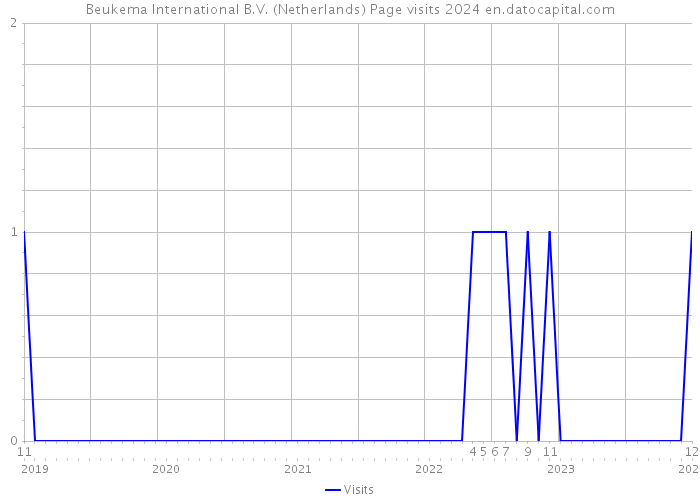 Beukema International B.V. (Netherlands) Page visits 2024 