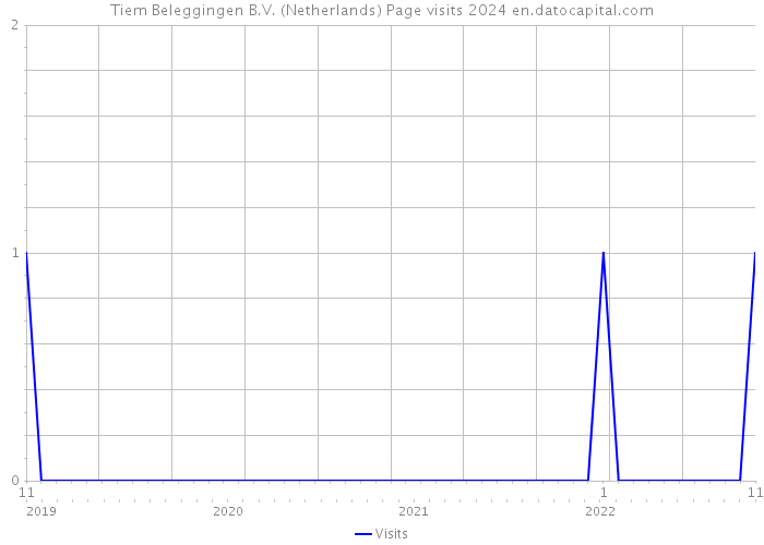 Tiem Beleggingen B.V. (Netherlands) Page visits 2024 