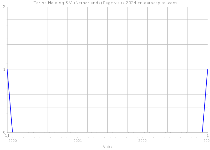 Tarina Holding B.V. (Netherlands) Page visits 2024 