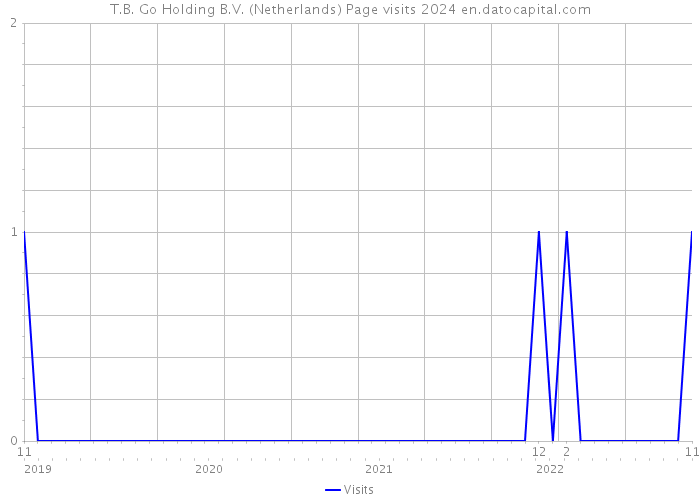 T.B. Go Holding B.V. (Netherlands) Page visits 2024 