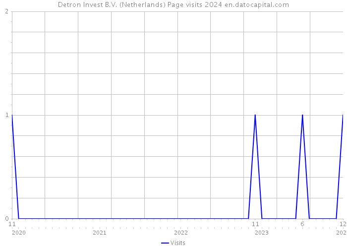 Detron Invest B.V. (Netherlands) Page visits 2024 