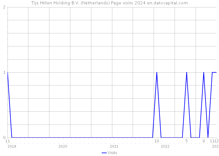 Tijs Hillen Holding B.V. (Netherlands) Page visits 2024 