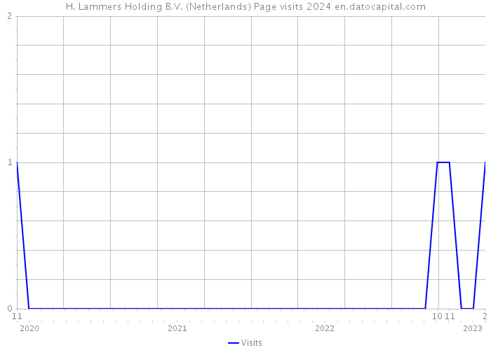 H. Lammers Holding B.V. (Netherlands) Page visits 2024 