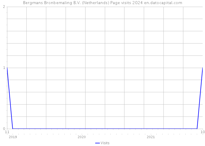 Bergmans Bronbemaling B.V. (Netherlands) Page visits 2024 